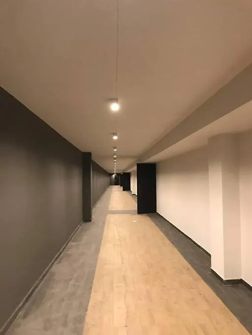 Spacious And Modern Apartment In Central Tbilisi